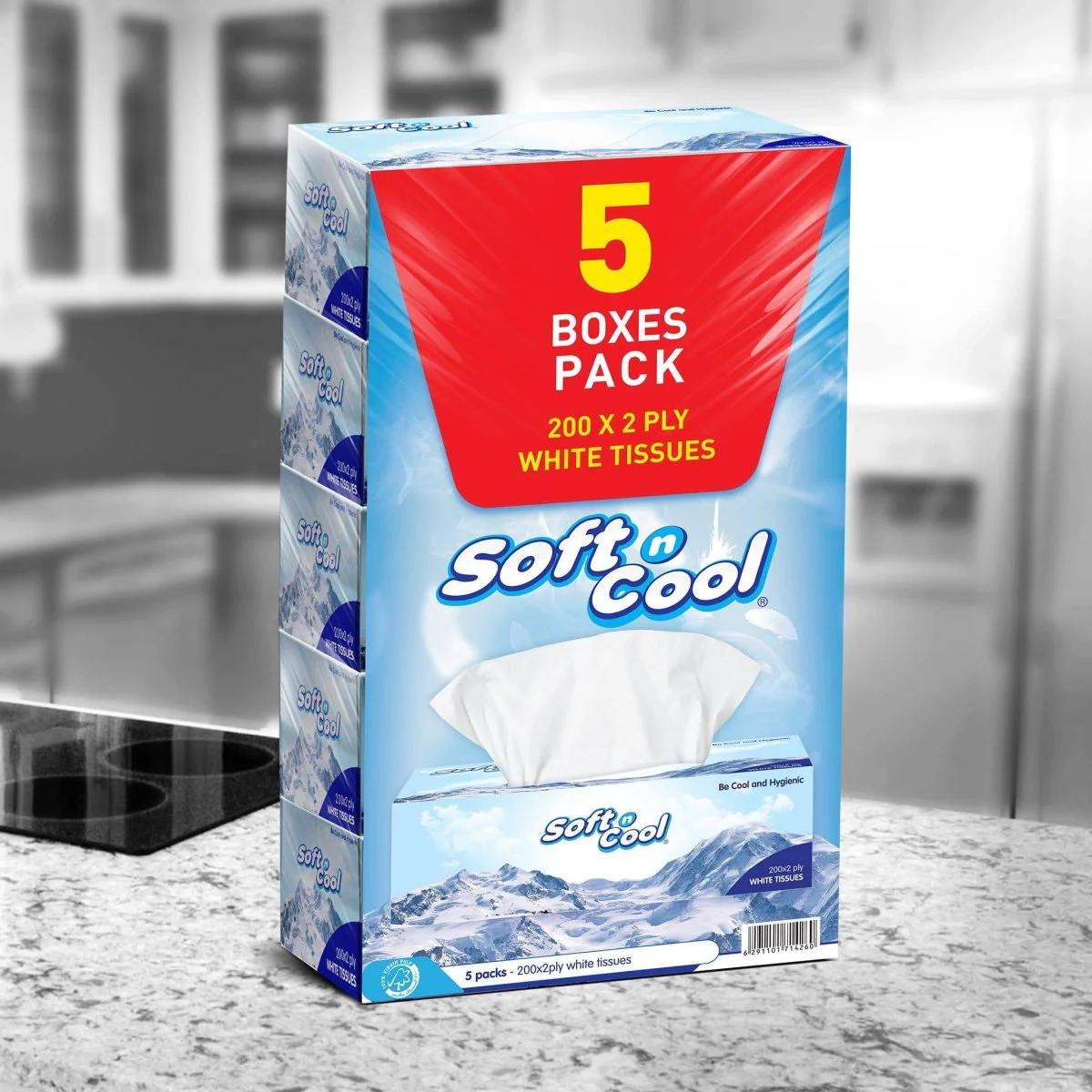 Soft n Cool Facial Tissue 200 Sheets X 2 Ply 5 Boxes Pack - Image 9
