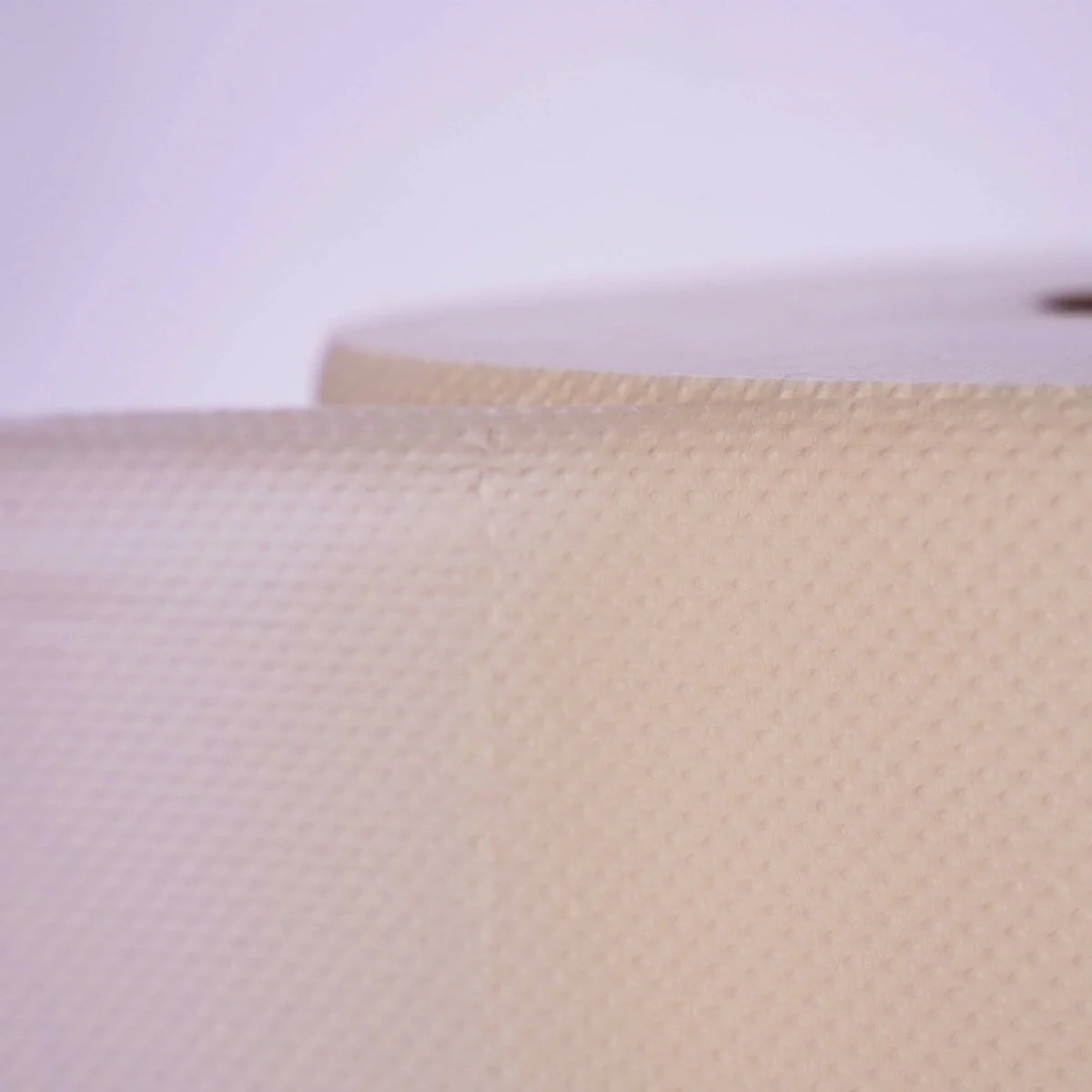 Soft n Cool Maxi Roll Dispenser 1 pc + 6 Rolls of 2 Ply Maxi Roll - Image 6